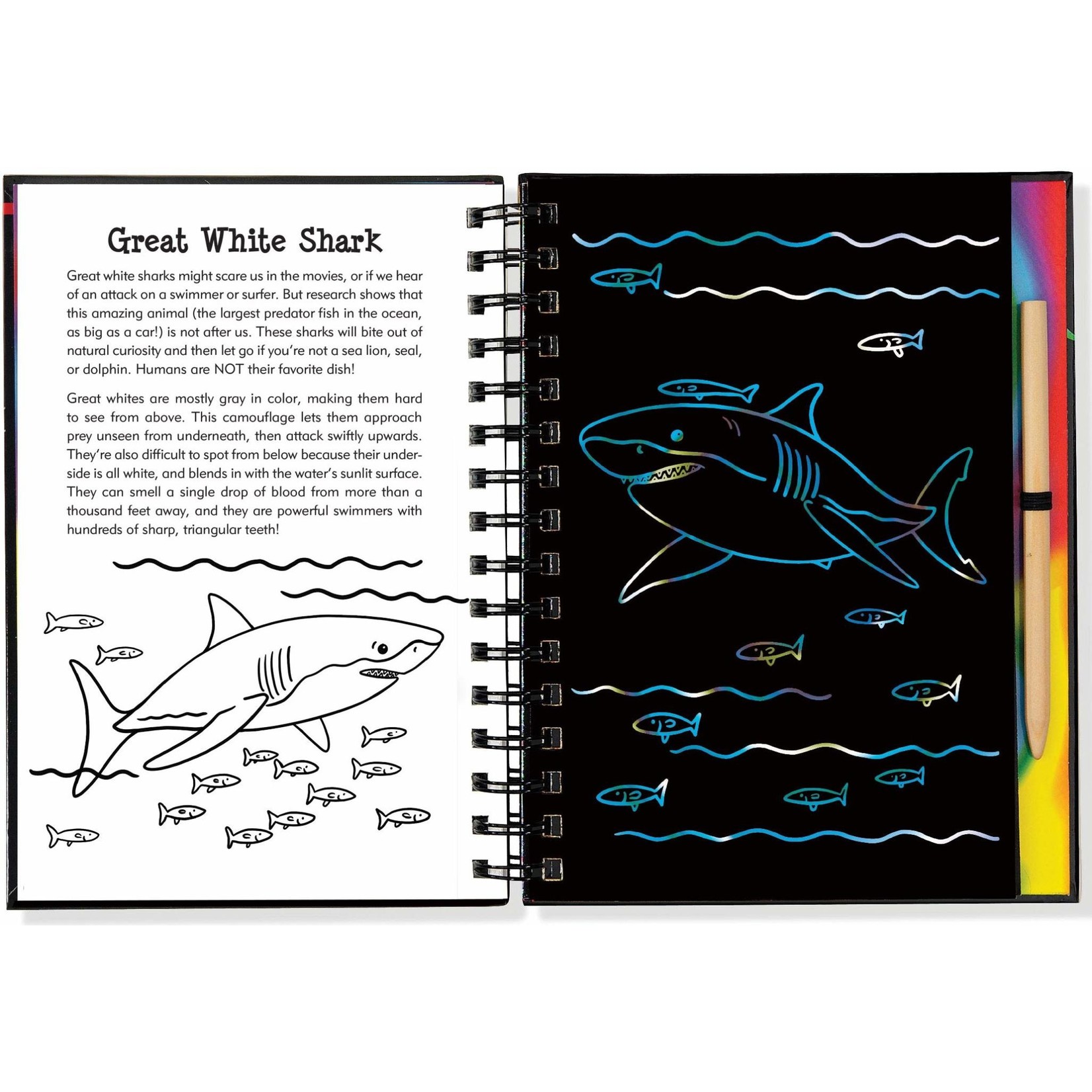 Peter Pauper Press Scratch & Sketch, Sharks (Trace-Along)