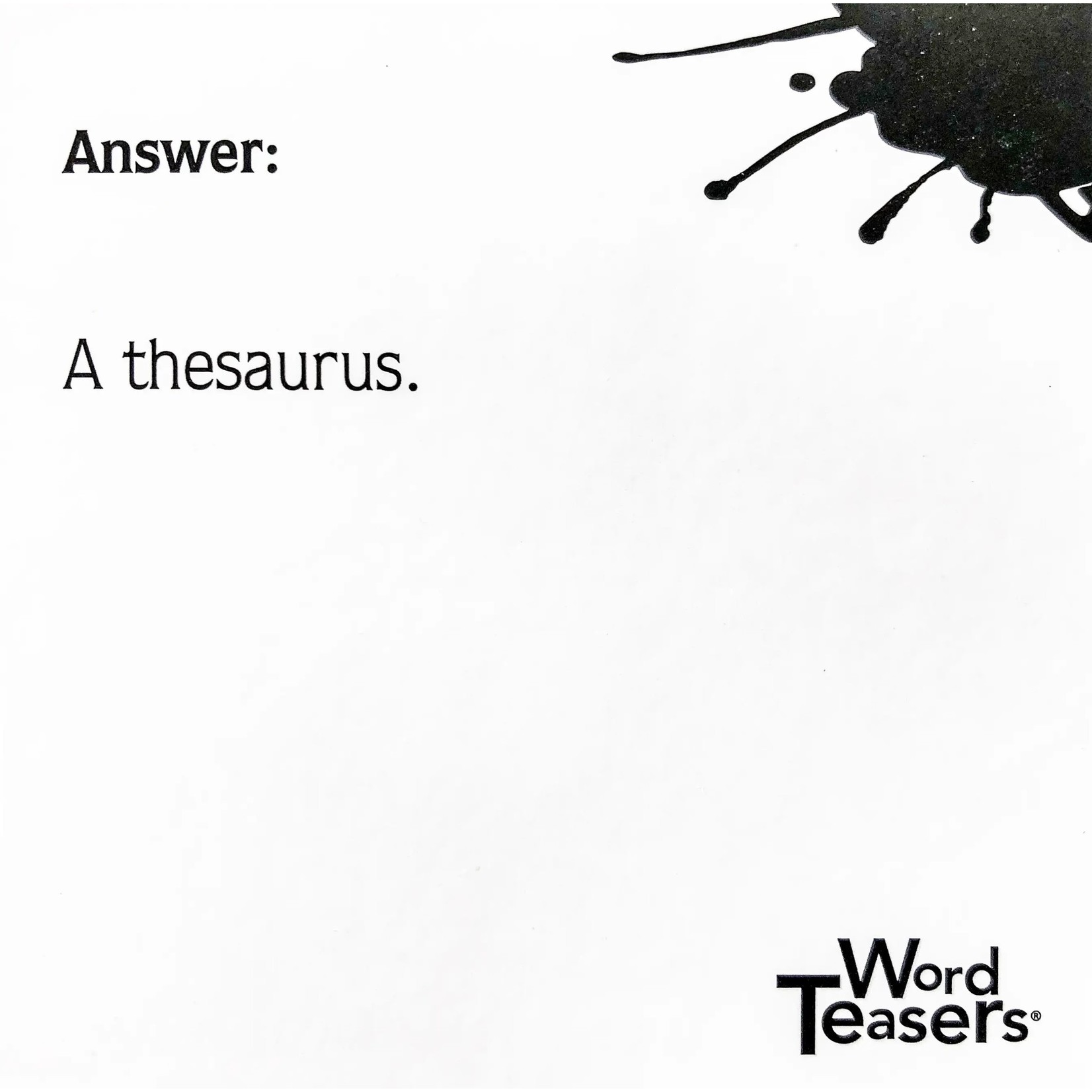 Fun Puns WordTeasers 7+