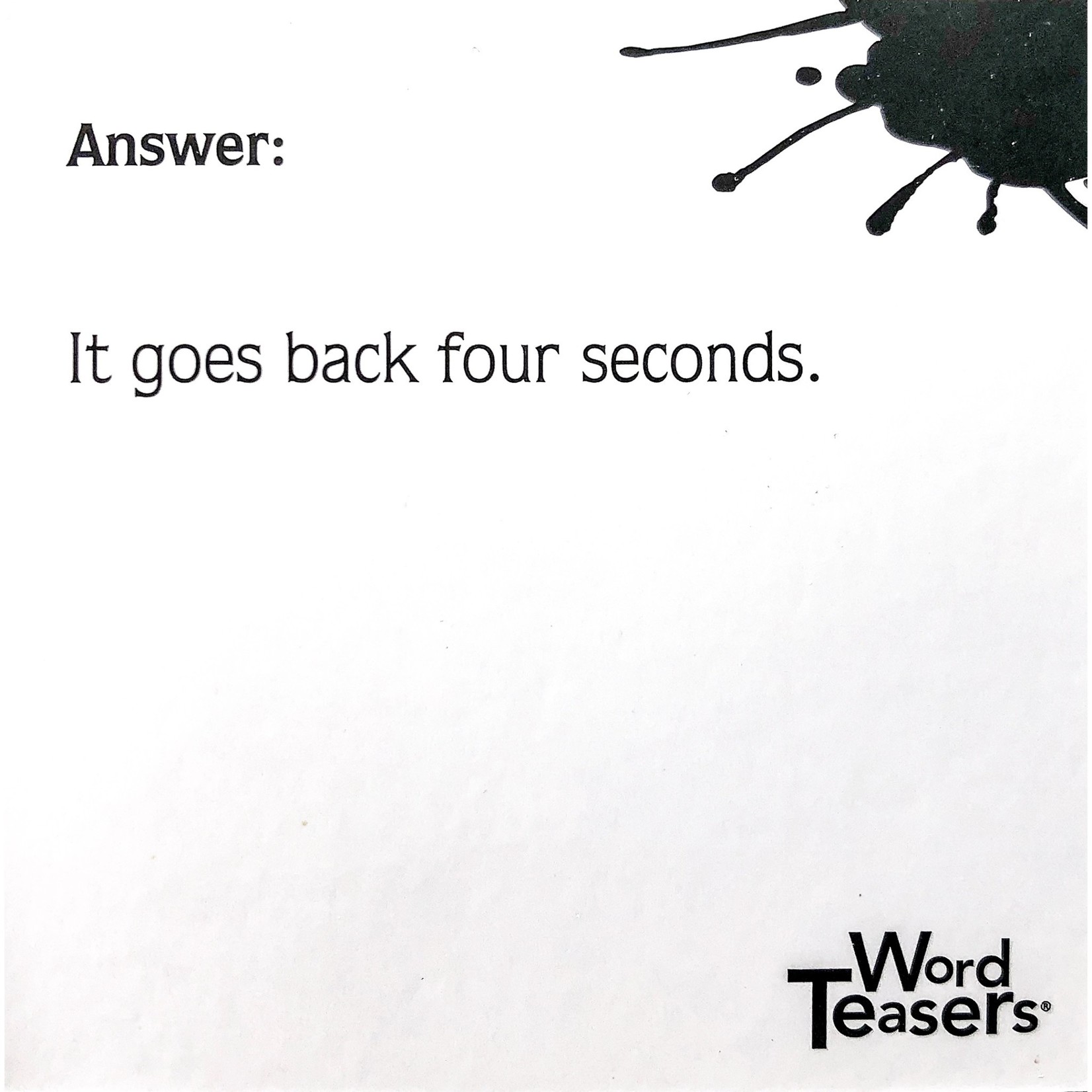 Fun Puns WordTeasers 7+