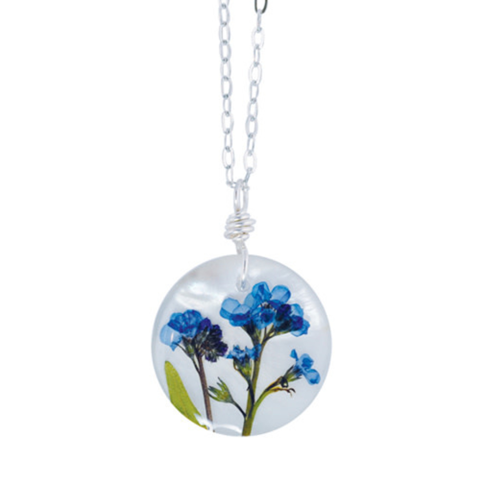 Forget Me Not On Shell 16" Med Rd. Necklace