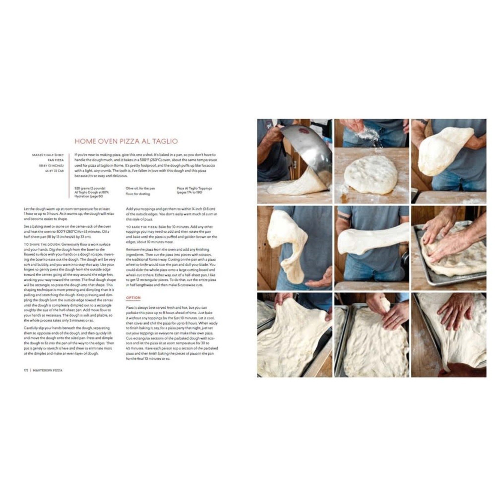 Mastering Pizza: The Art and Practice of Handmade Pizza, Focaccia, and Calzone