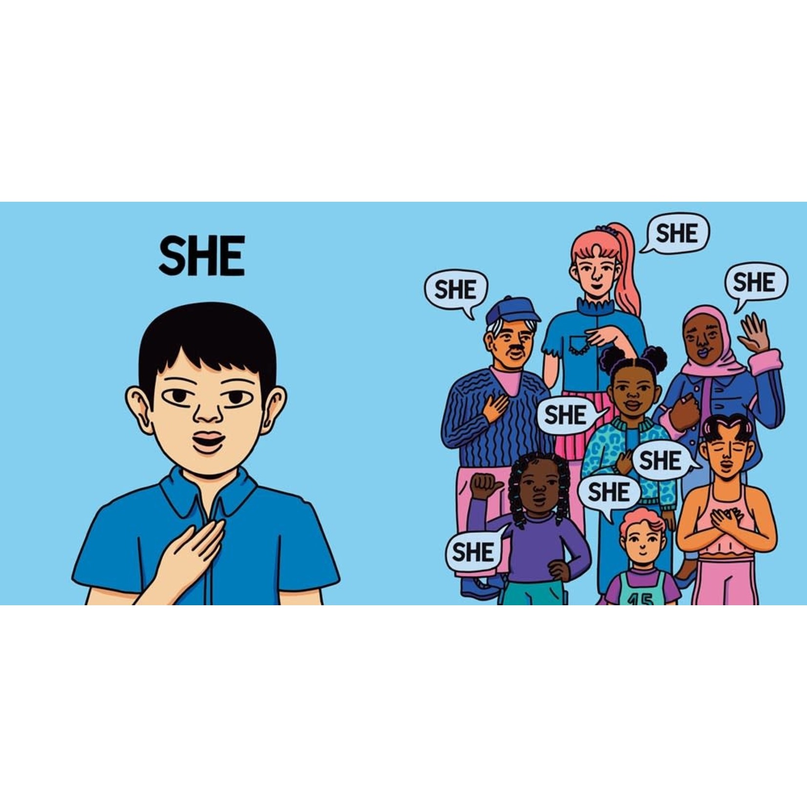 The Pronoun Book