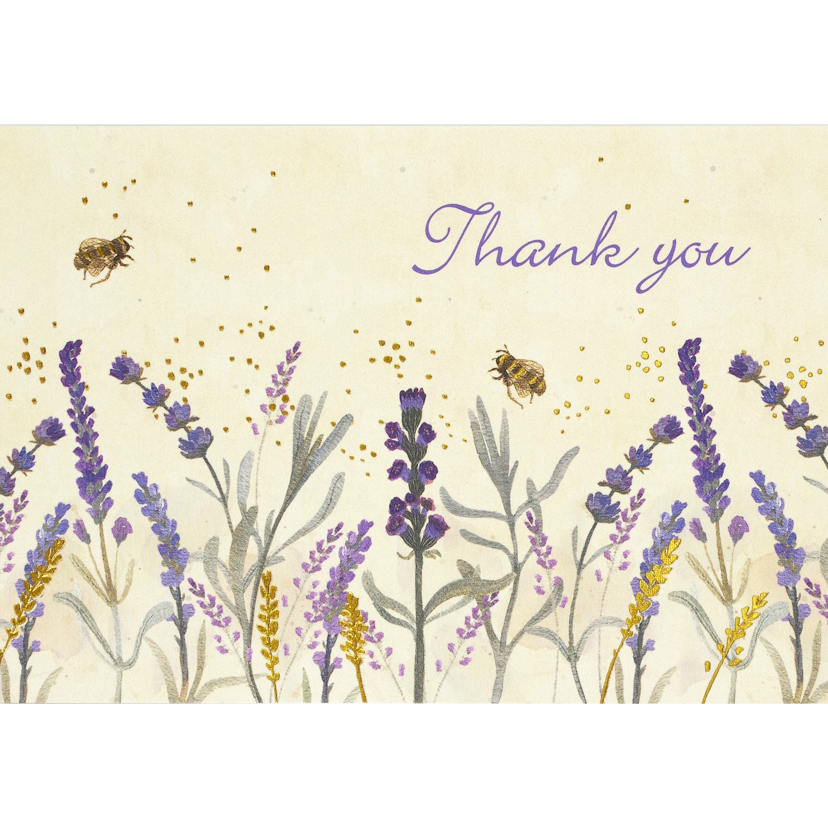Peter Pauper Press Boxed Thank You Cards: Lavender & Honey