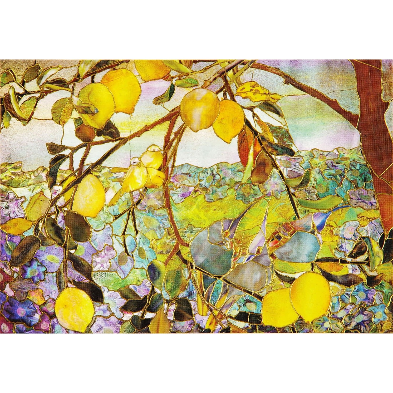 Peter Pauper Press Boxed Note Cards: Tiffany Lemon Tree