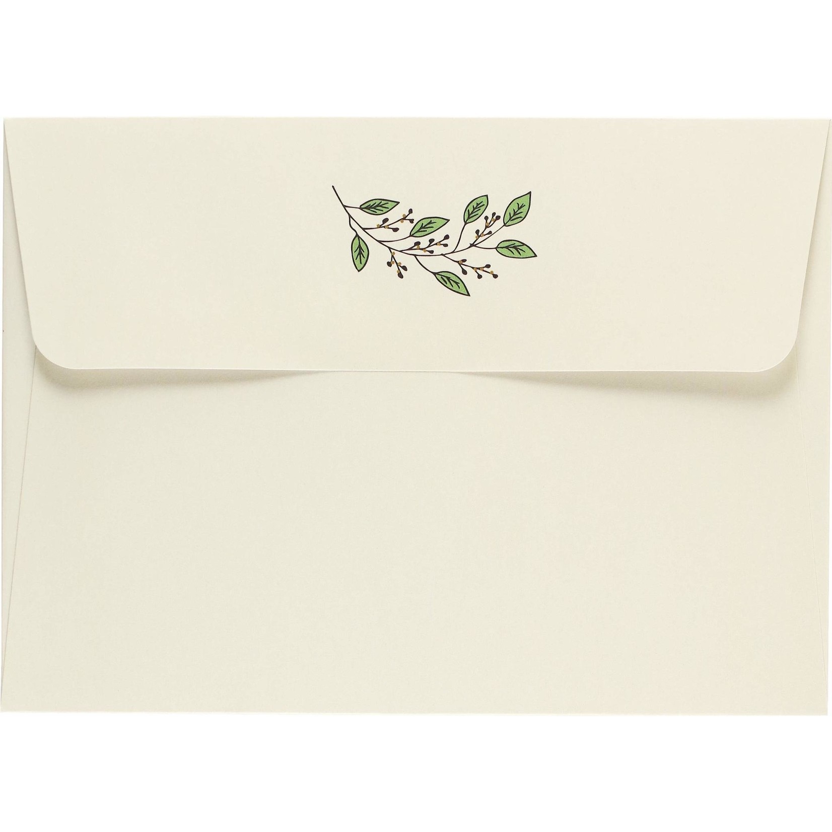 Peter Pauper Press Boxed Thank You Cards: Native Botanicals
