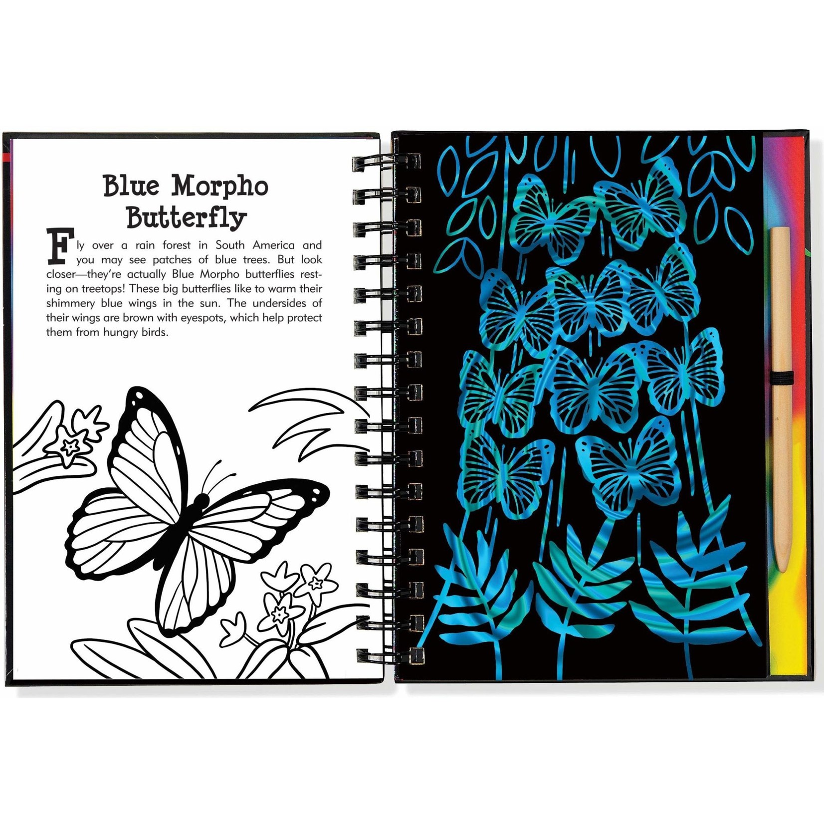 Peter Pauper Press Scratch & Sketch Butterflies & Friends (Trace Along)