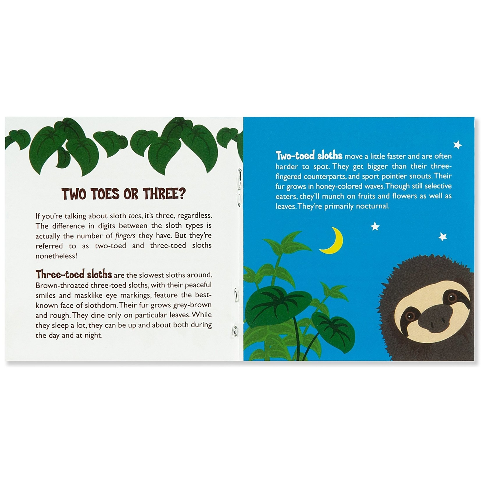 Hug a Sloth Kit - Maxima Gift and Book Center