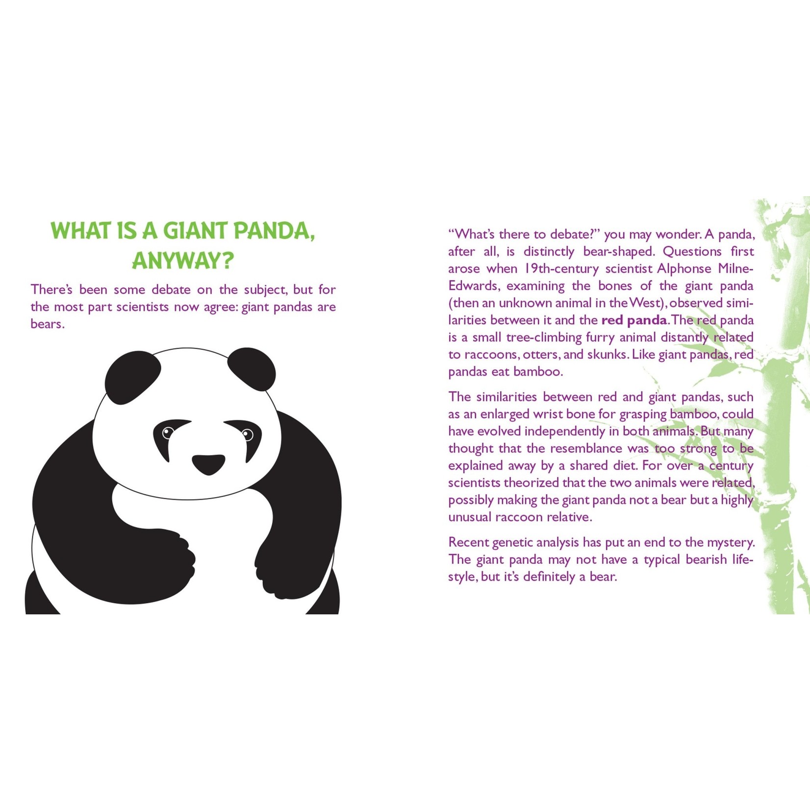 Hug a Panda Kit (Book with Plush) [Book]