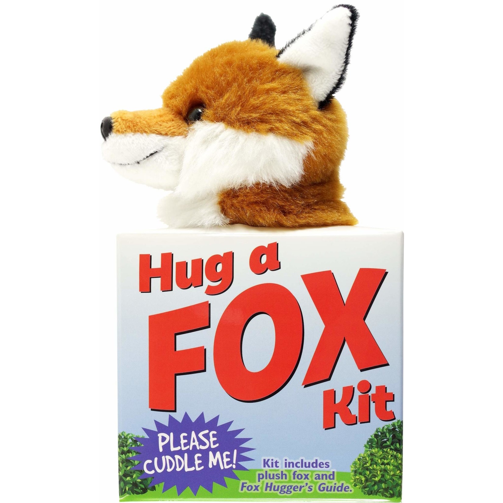 Peter Pauper Press Hug a Fox Kit