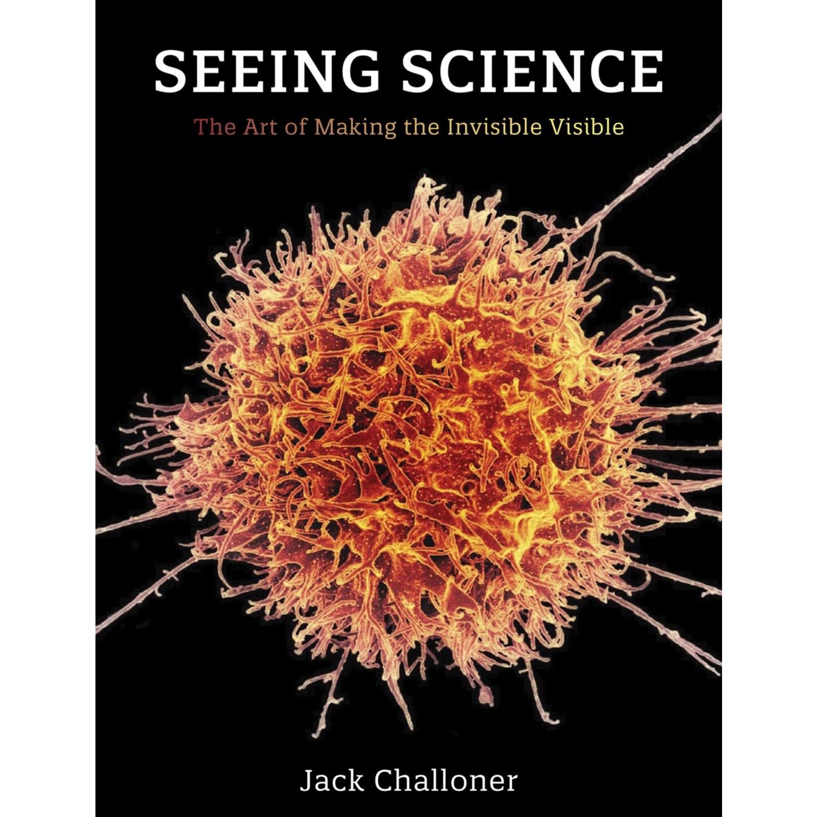 Seeing Science: The Art of Making the Invisible Visibl