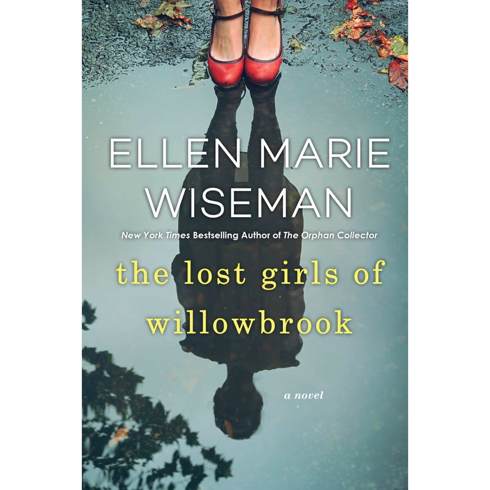 The Lost Girls of Willowbrook: A Heartbreaking Novel of Survival Based on True History