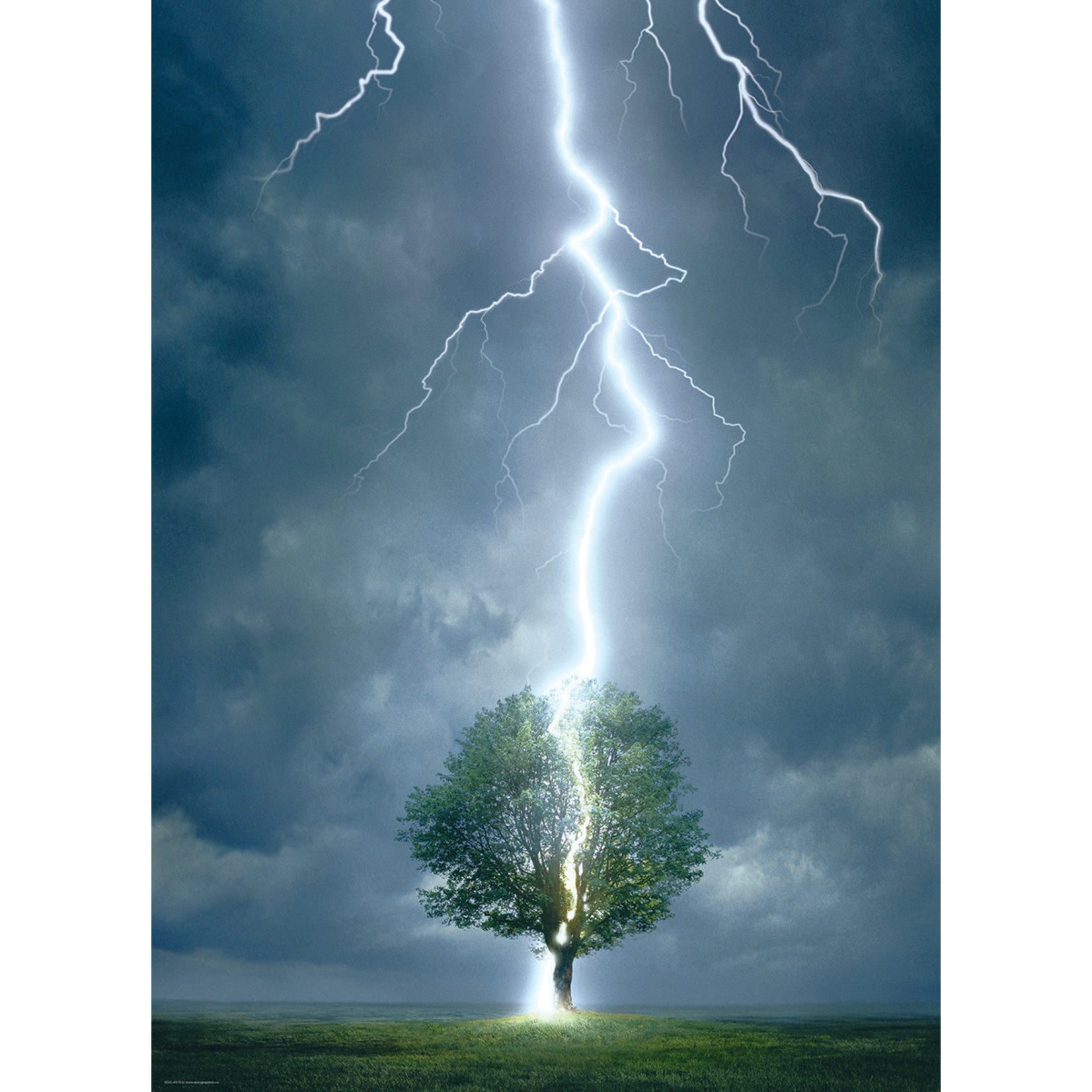 Lightning Striking Tree 1000 Piece Puzzle