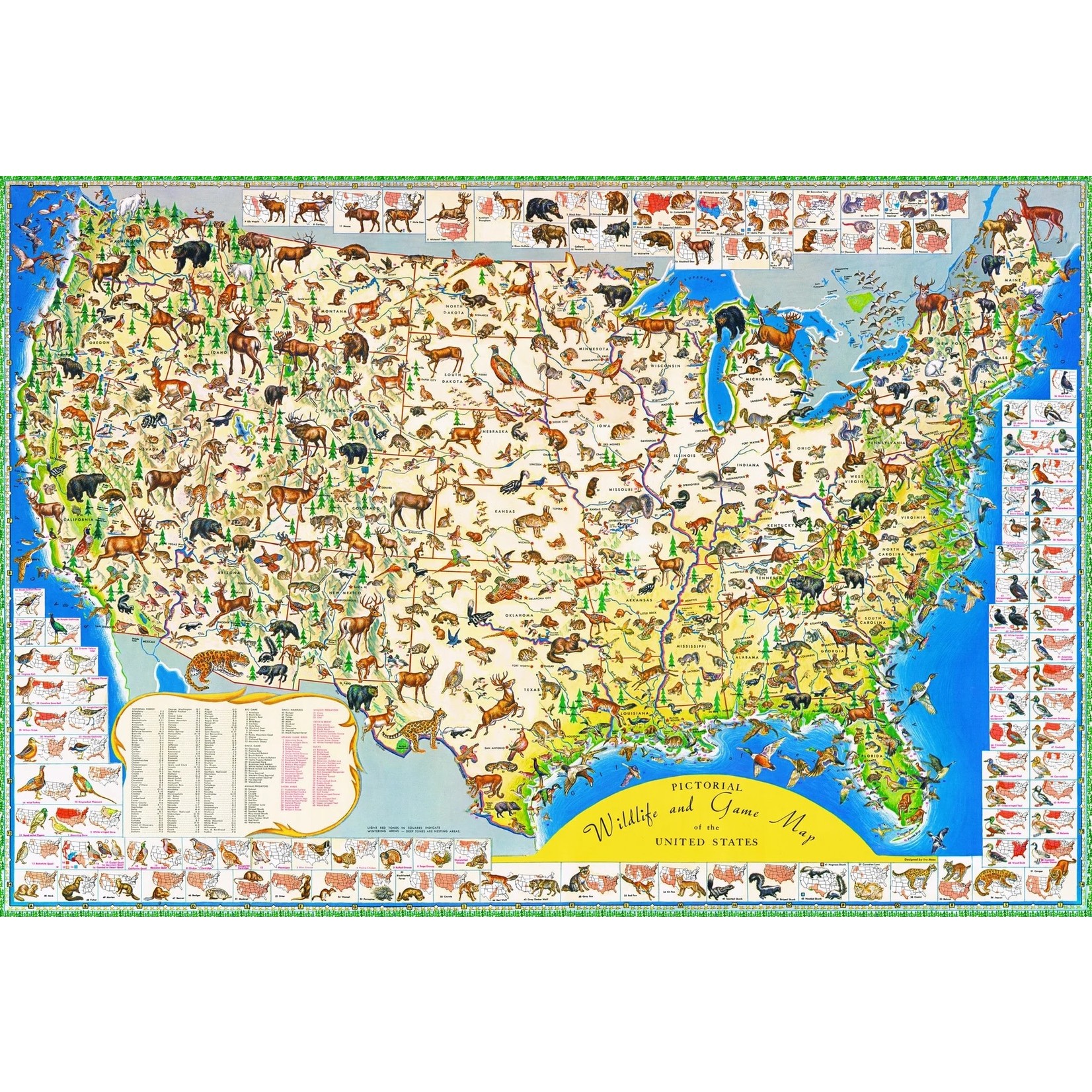 Wildlife Map 2000 Piece Puzzle