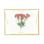 PRISMA PHOTO DISPLAY 4X6 MATTE BRASS