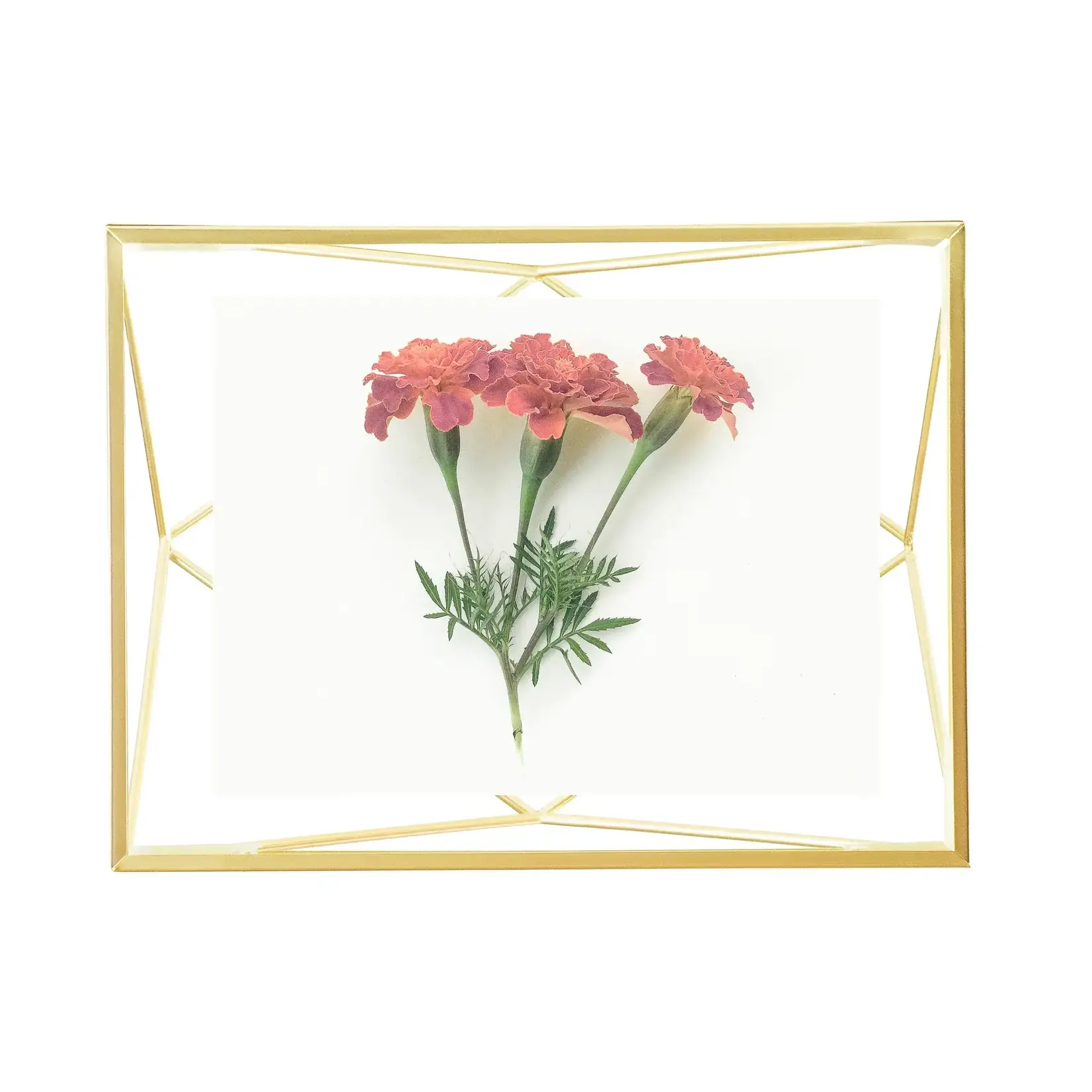 PRISMA PHOTO DISPLAY 4X6 MATTE BRASS