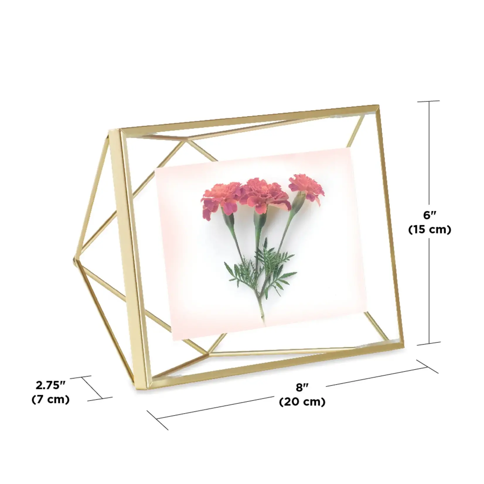 PRISMA PHOTO DISPLAY 4X6 MATTE BRASS