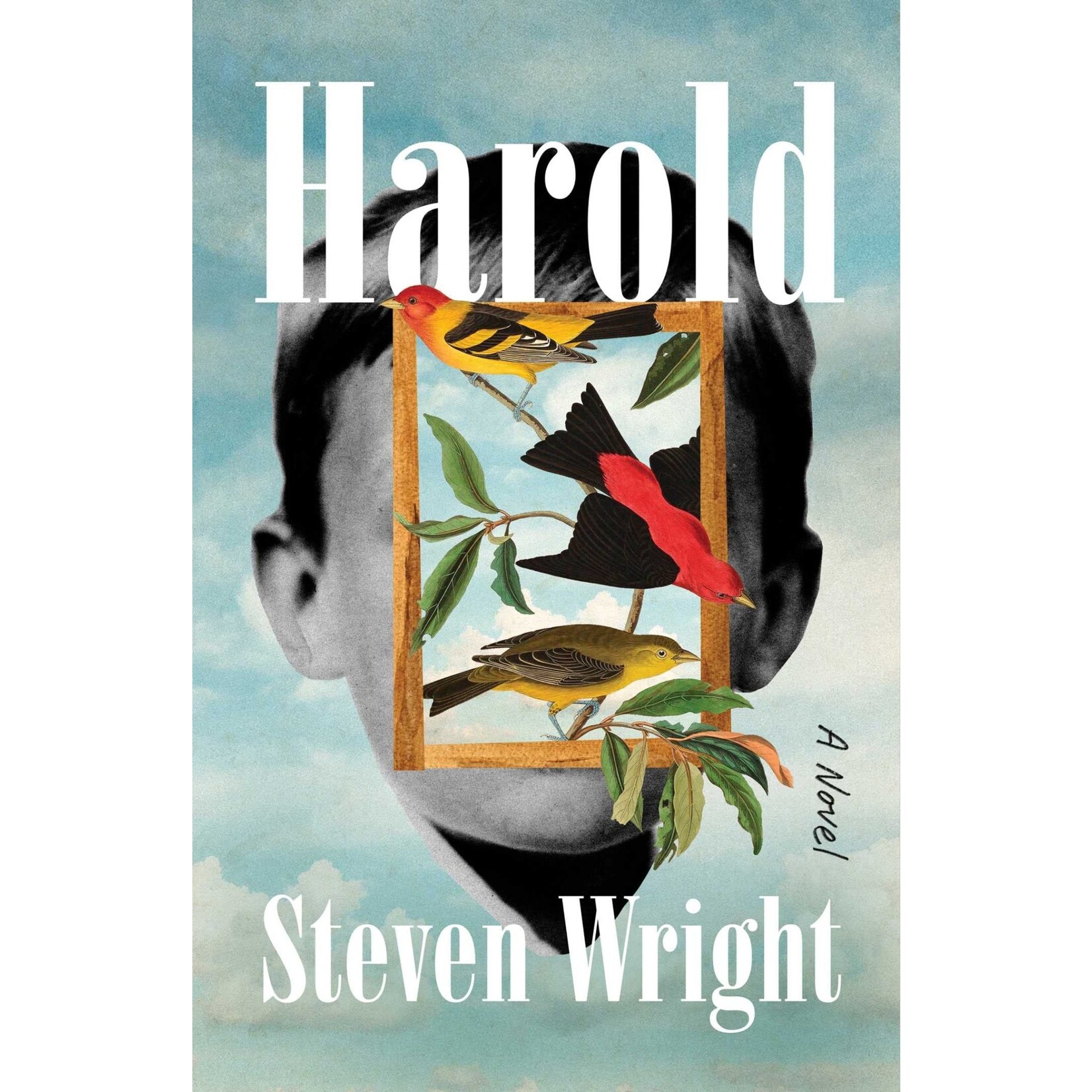 Harold: A Novel