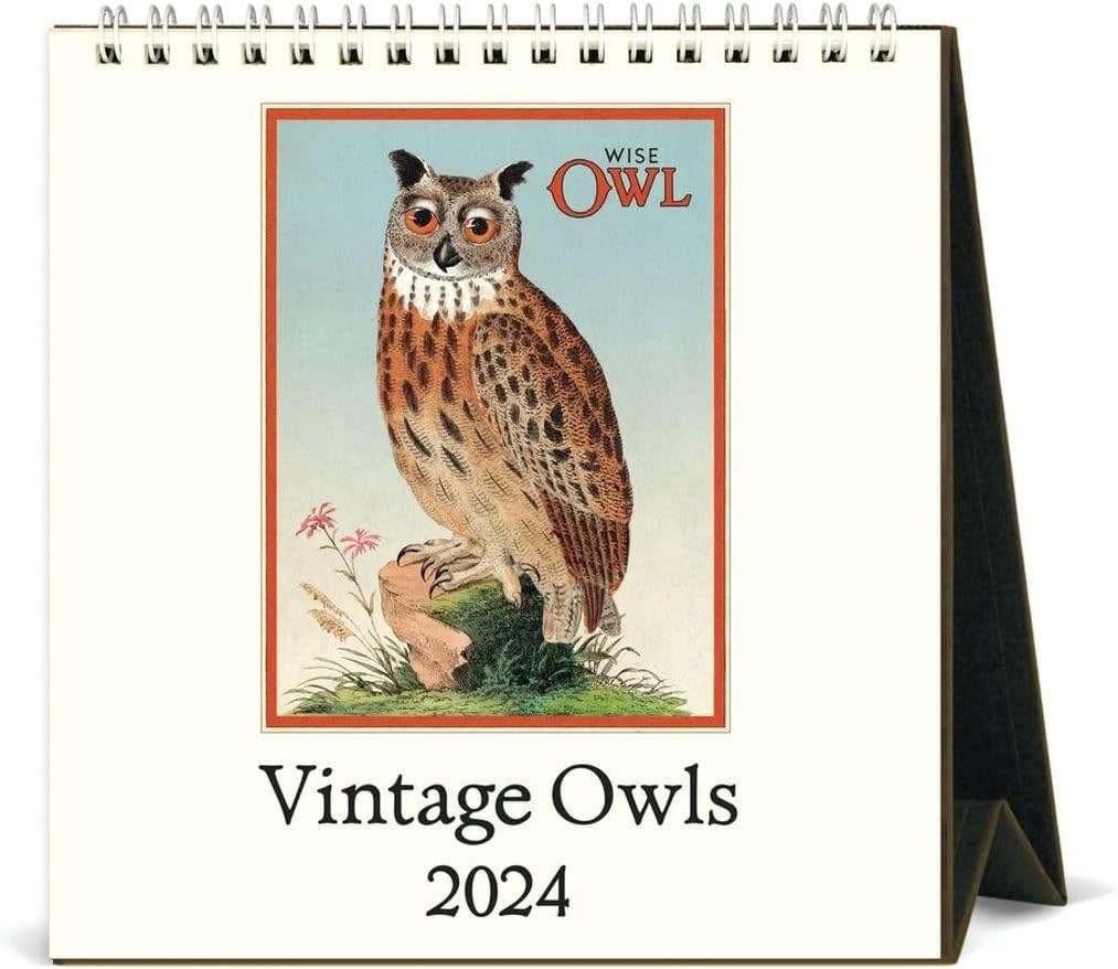 Cavallini 2024 Desk Calendar Tarot