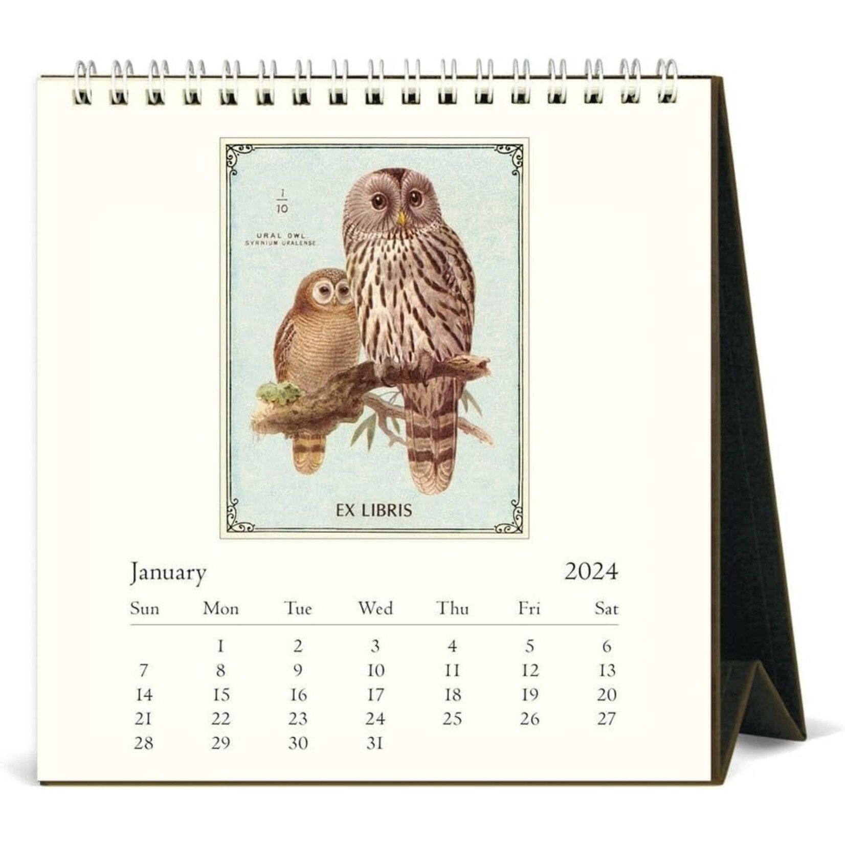Owls Desk Calendar 2024