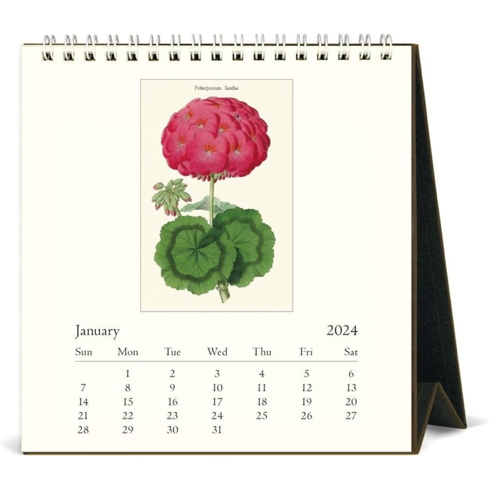 Botanica Desk Calendar 2024 Maxima Gift and Book Center