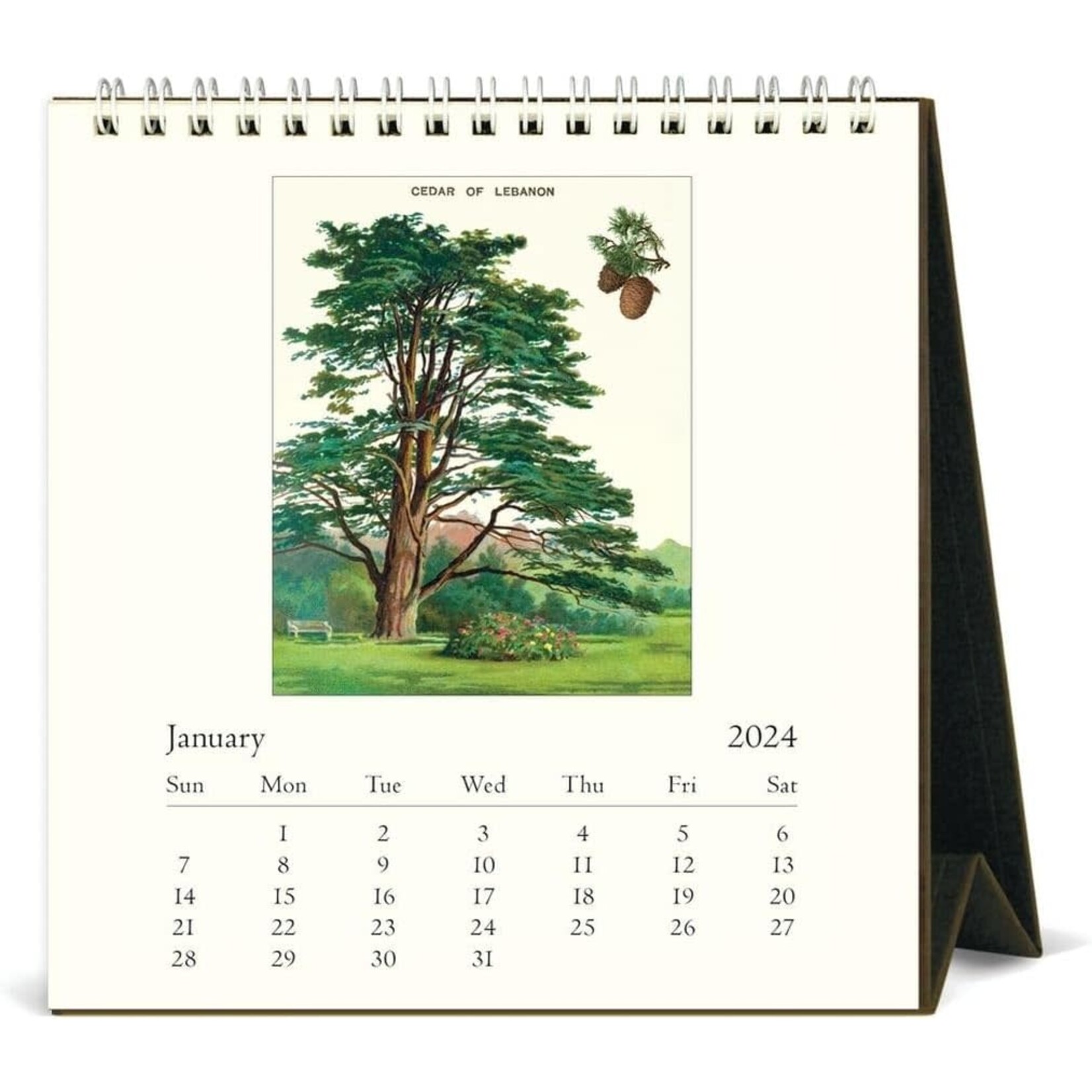 Arboretum Desk Calendar 2024
