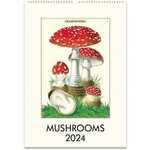 Mushrooms Wall Calendar 2024