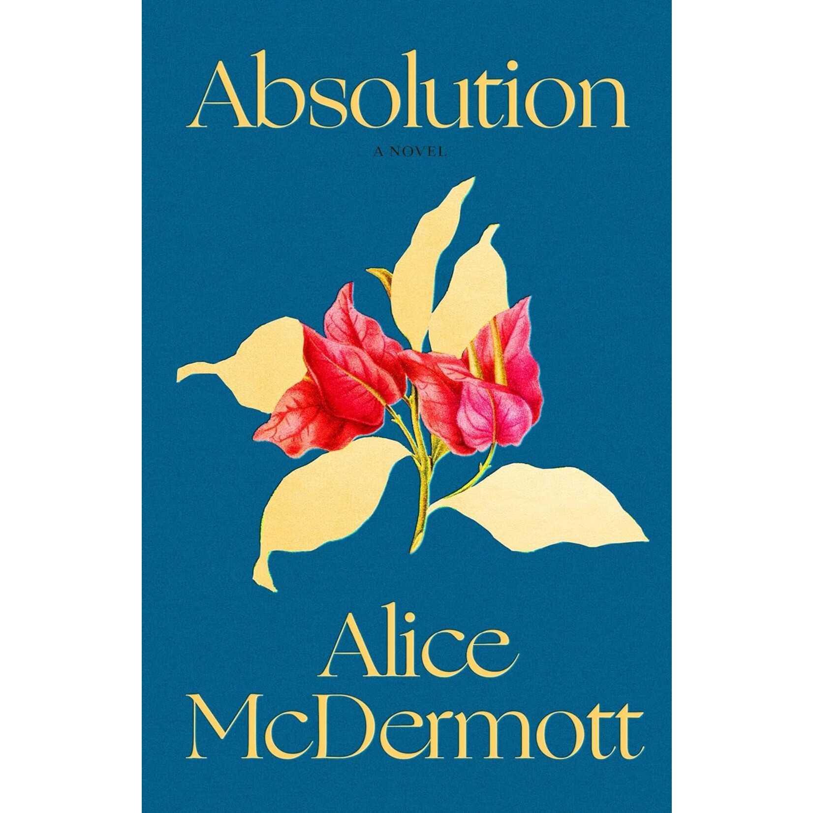 Absolution: A Novel