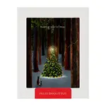 Tree Lighting - Boxed Holiday Christmas Greeting Cards