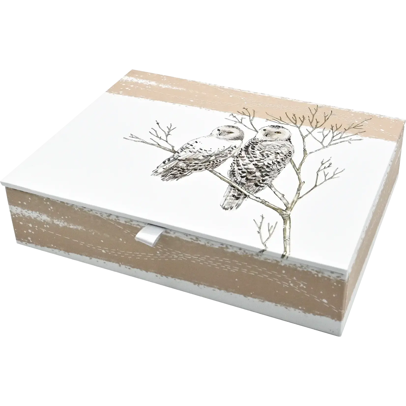 Peter Pauper Press Snowy Owls Deluxe Boxed Holiday Cards