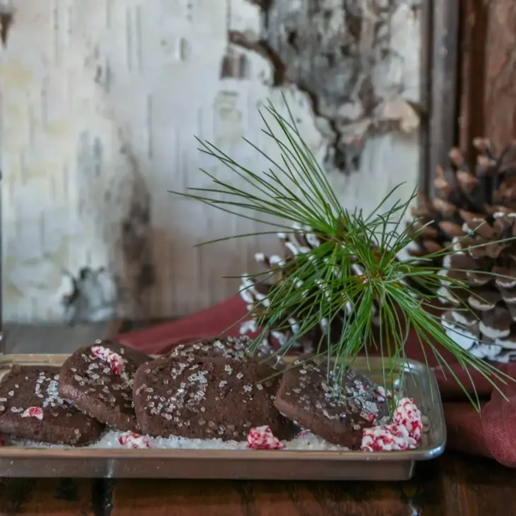 Chocolate Mint Sable