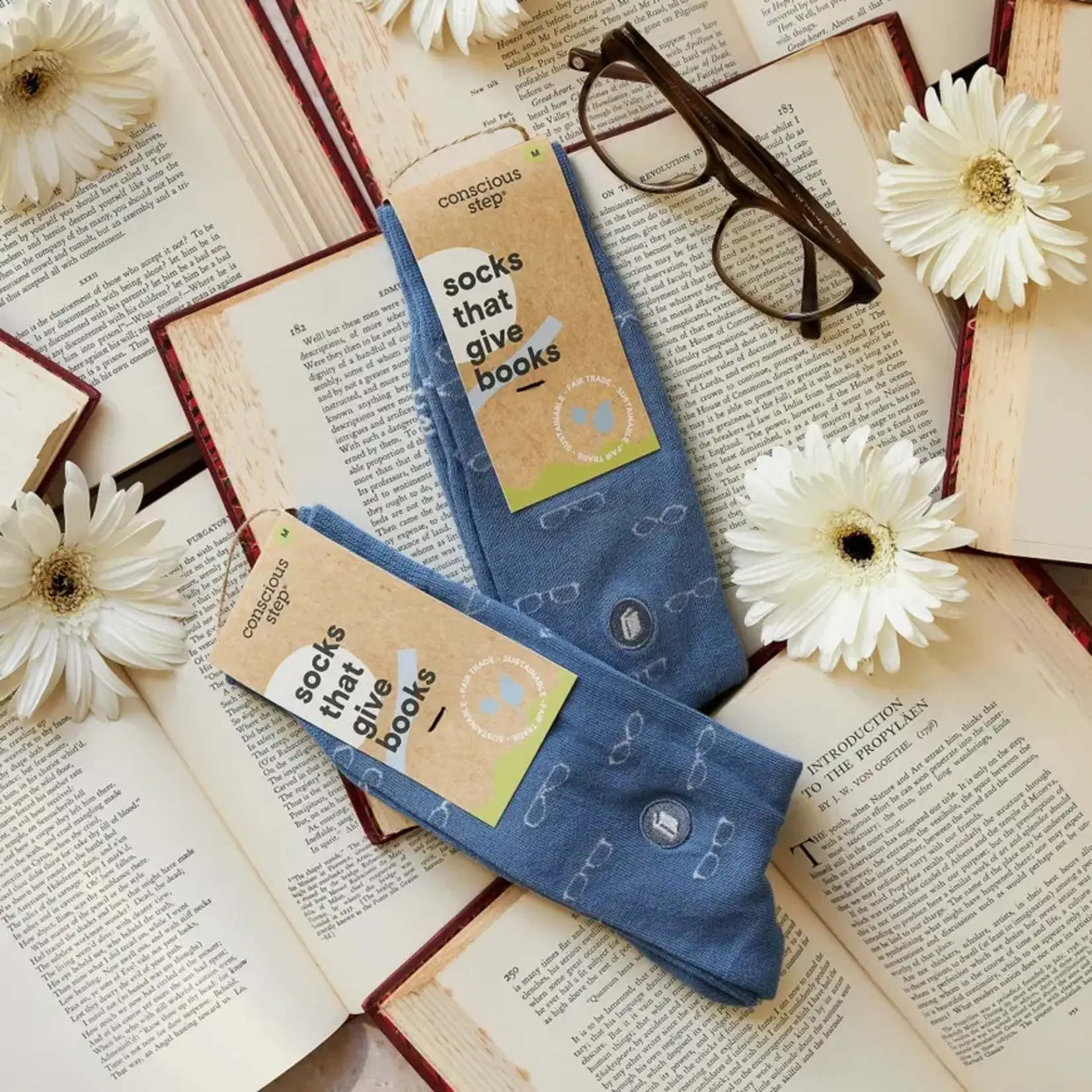 Socks that Give Books (Blue Glasses) - Small