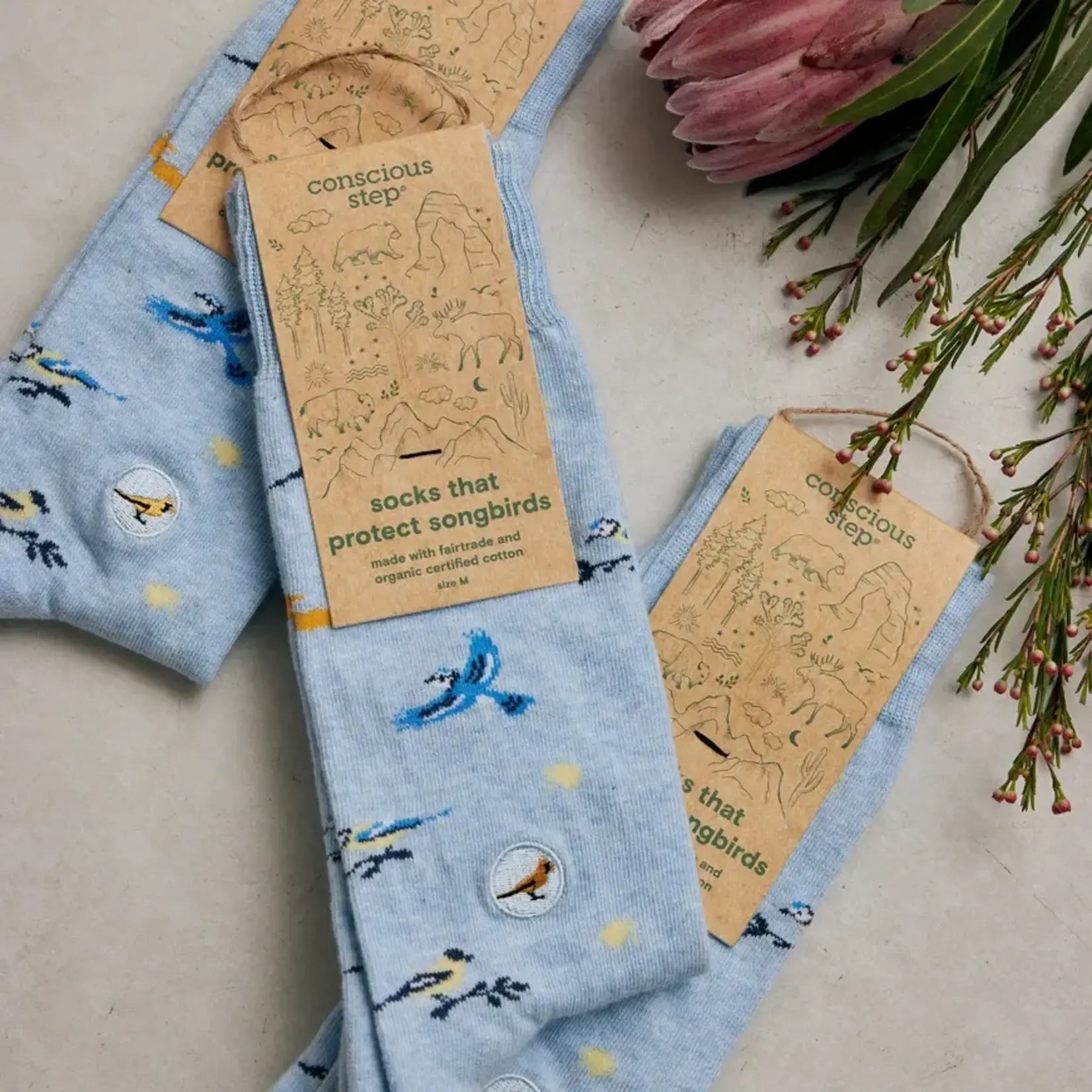 Socks that Protect Songbirds | Medium