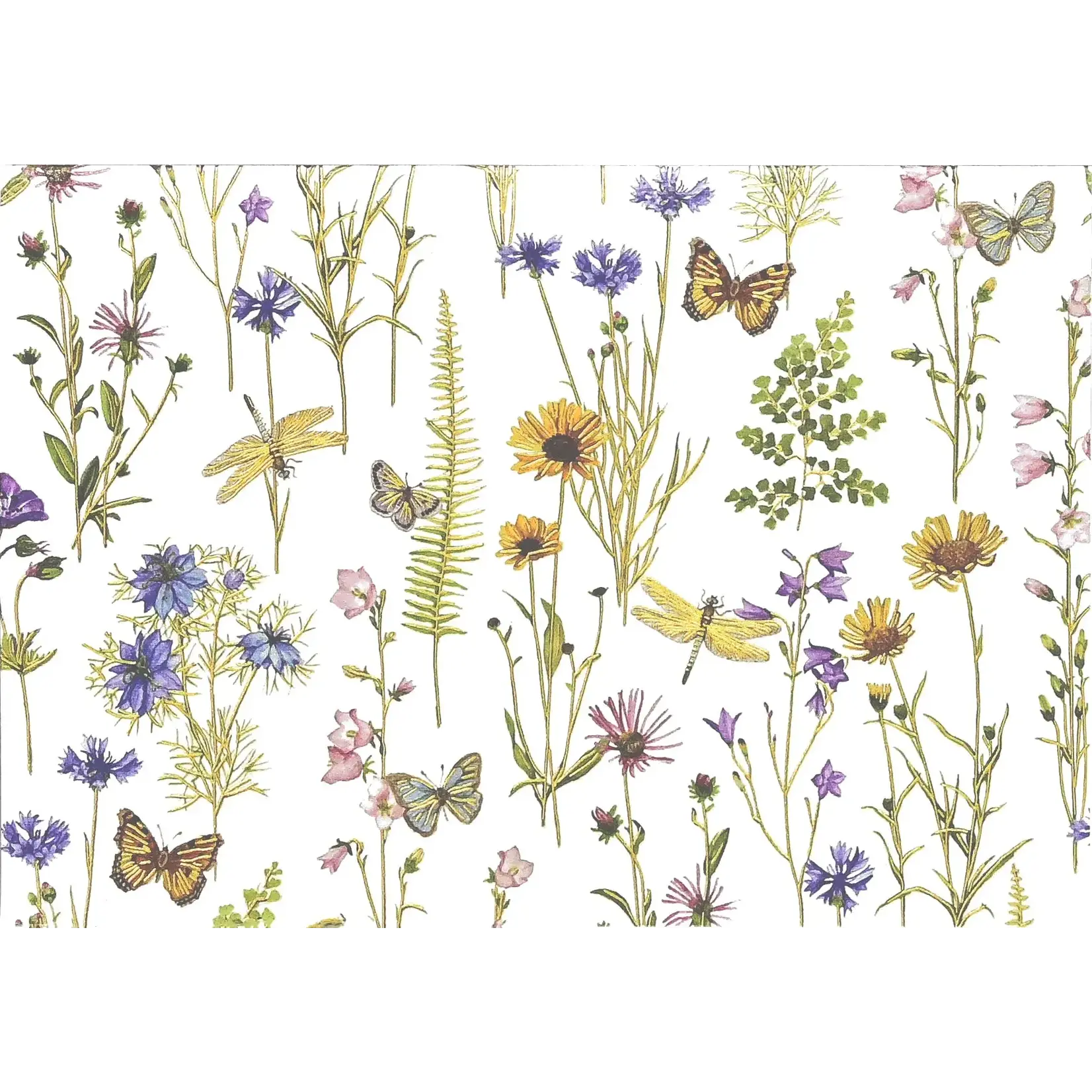 Peter Pauper Press Wildflower Garden Boxed Note Cards