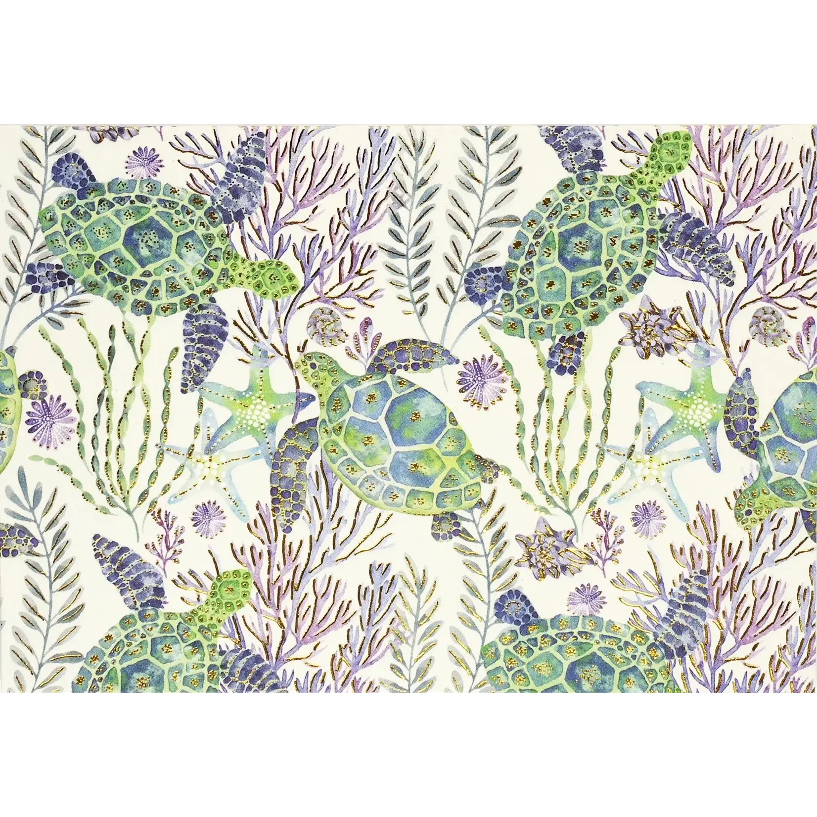 Peter Pauper Press Sea Turtles Boxed Note Cards