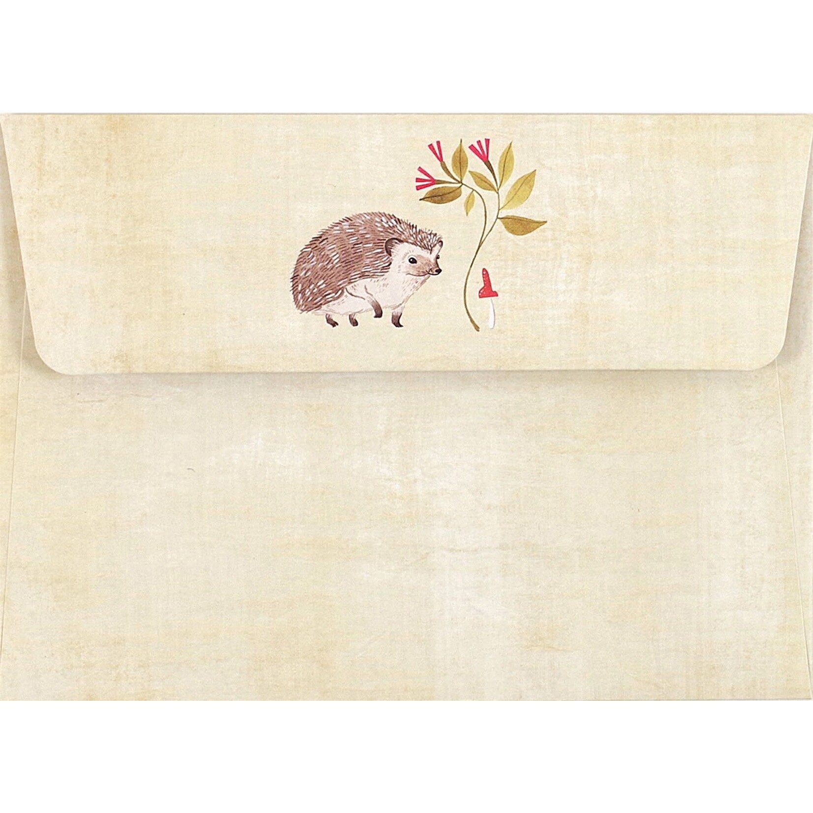 Peter Pauper Press Hedgehog Boxed Note Cards