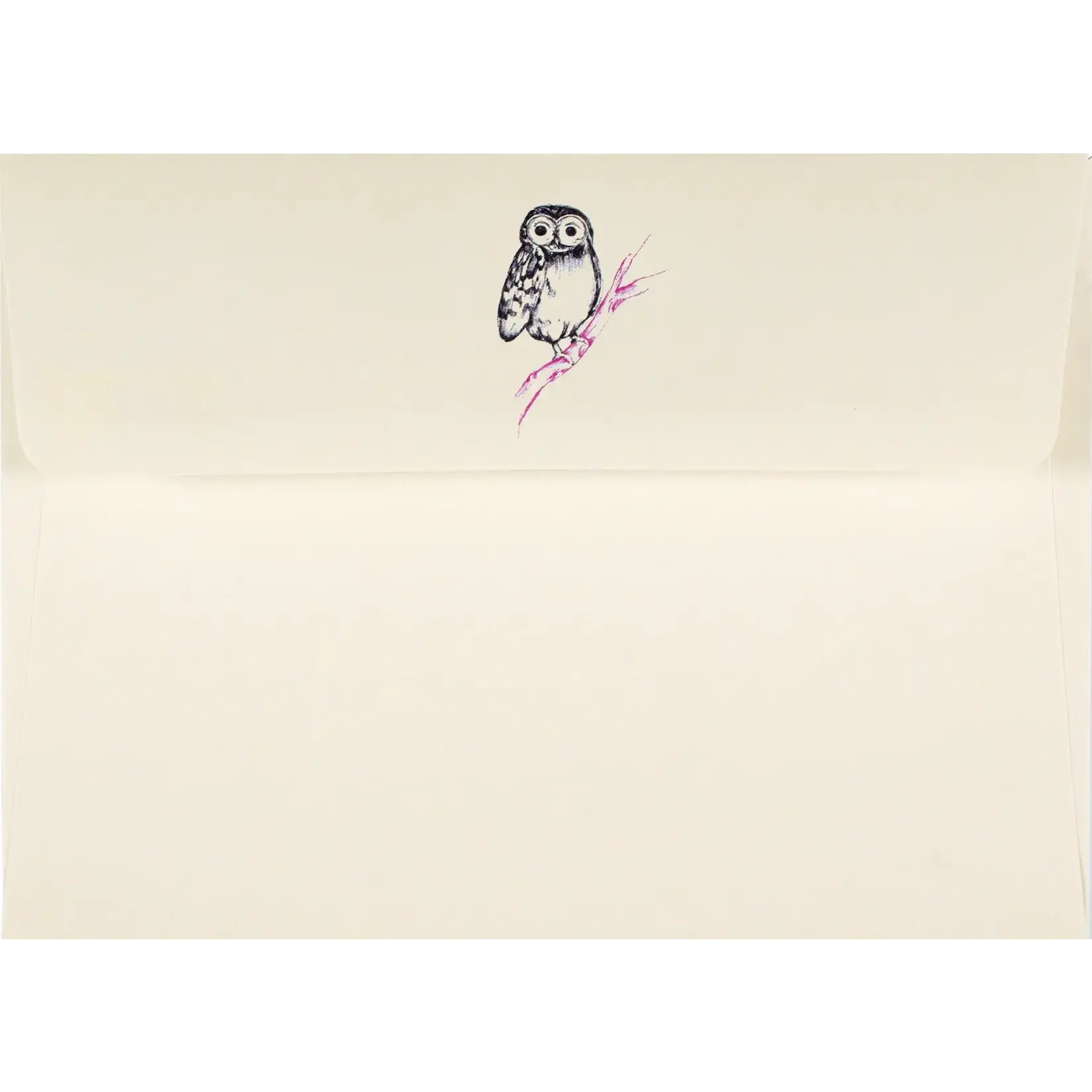 Peter Pauper Press Owl Portrait Boxed Note Cards