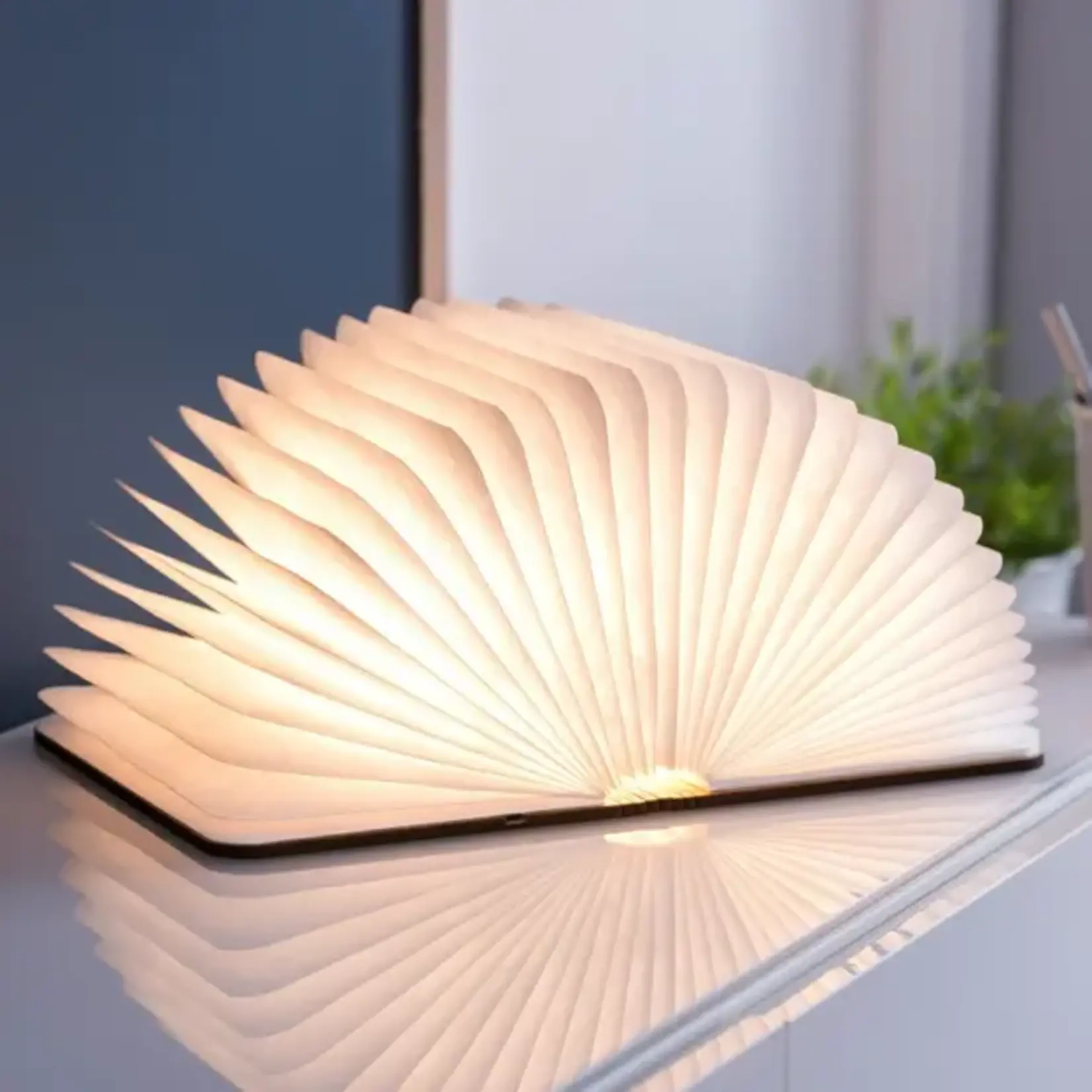 Natural Wood Smart Book Light Walnut LG