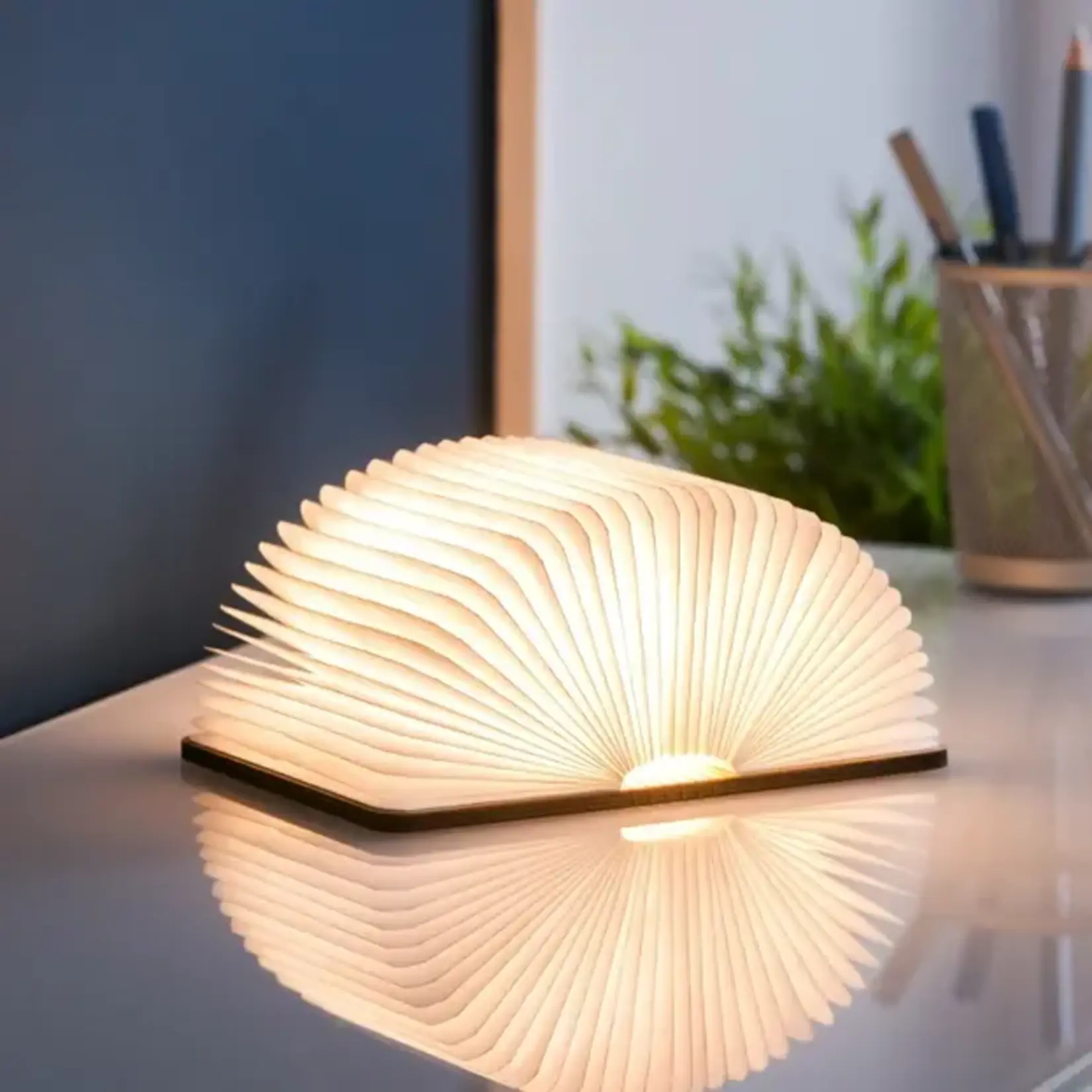 Natural Wood Smart Book Light Walnut LG