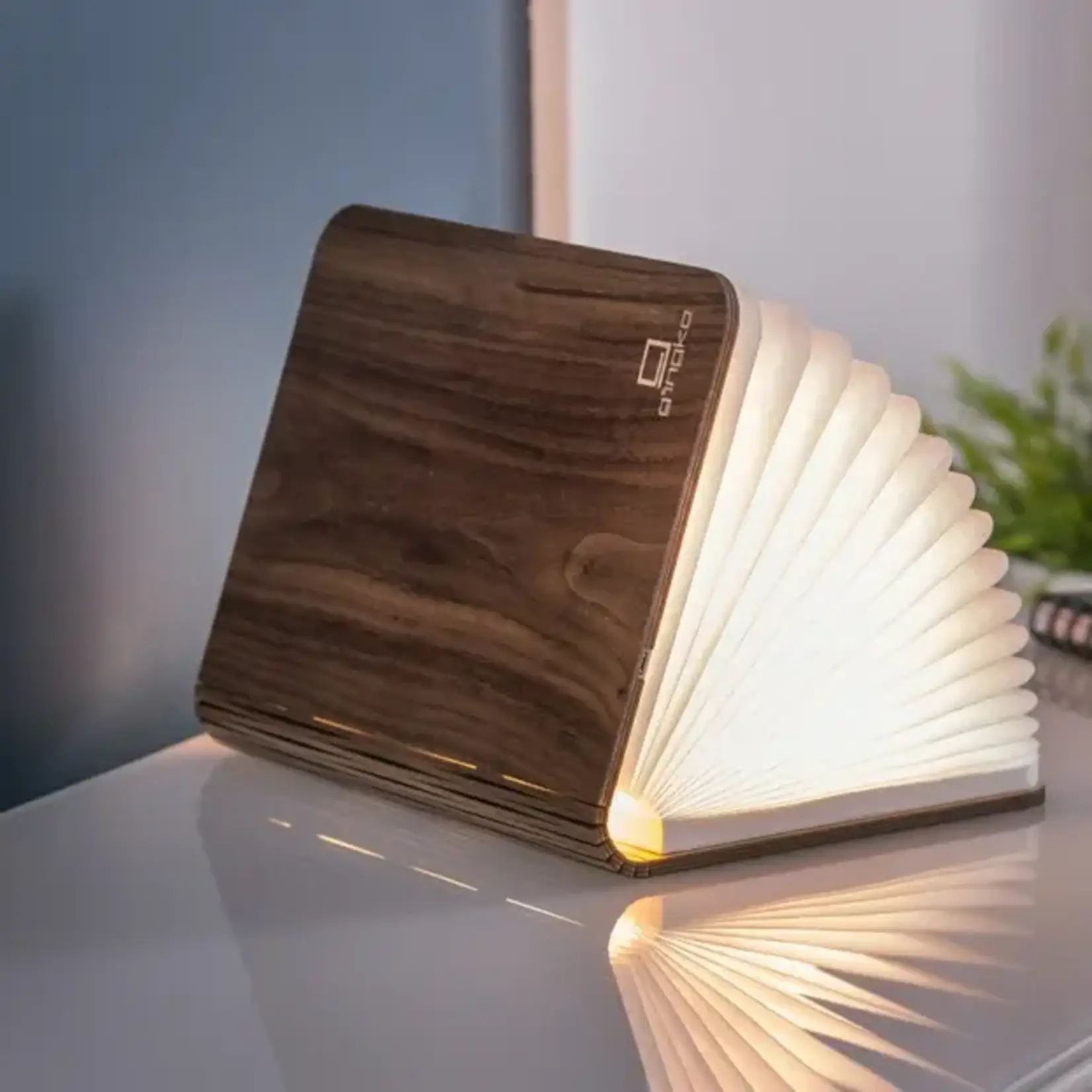 Natural Wood Smart Book Light Walnut LG
