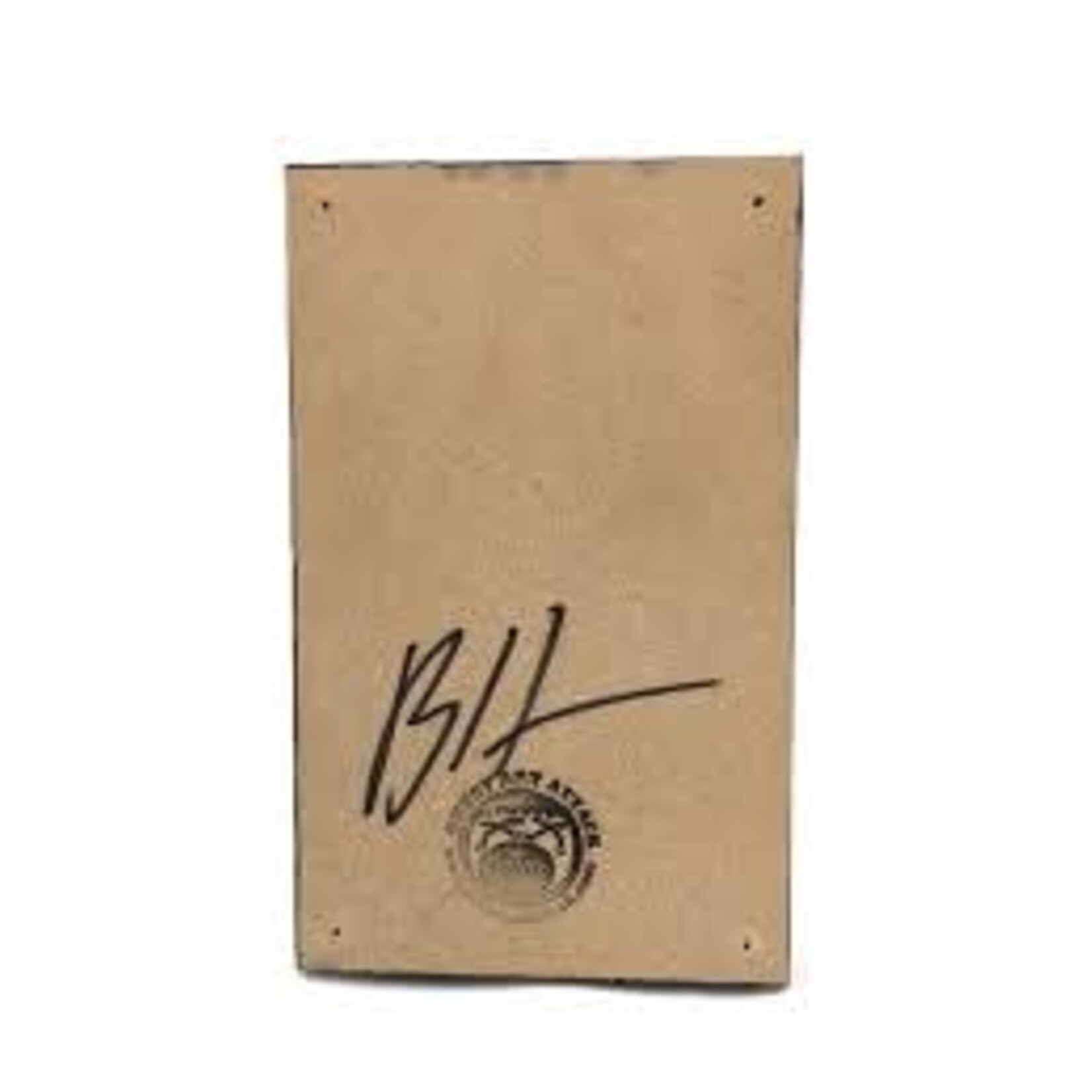 "Irish Pub" Bottle Opener Wall Art