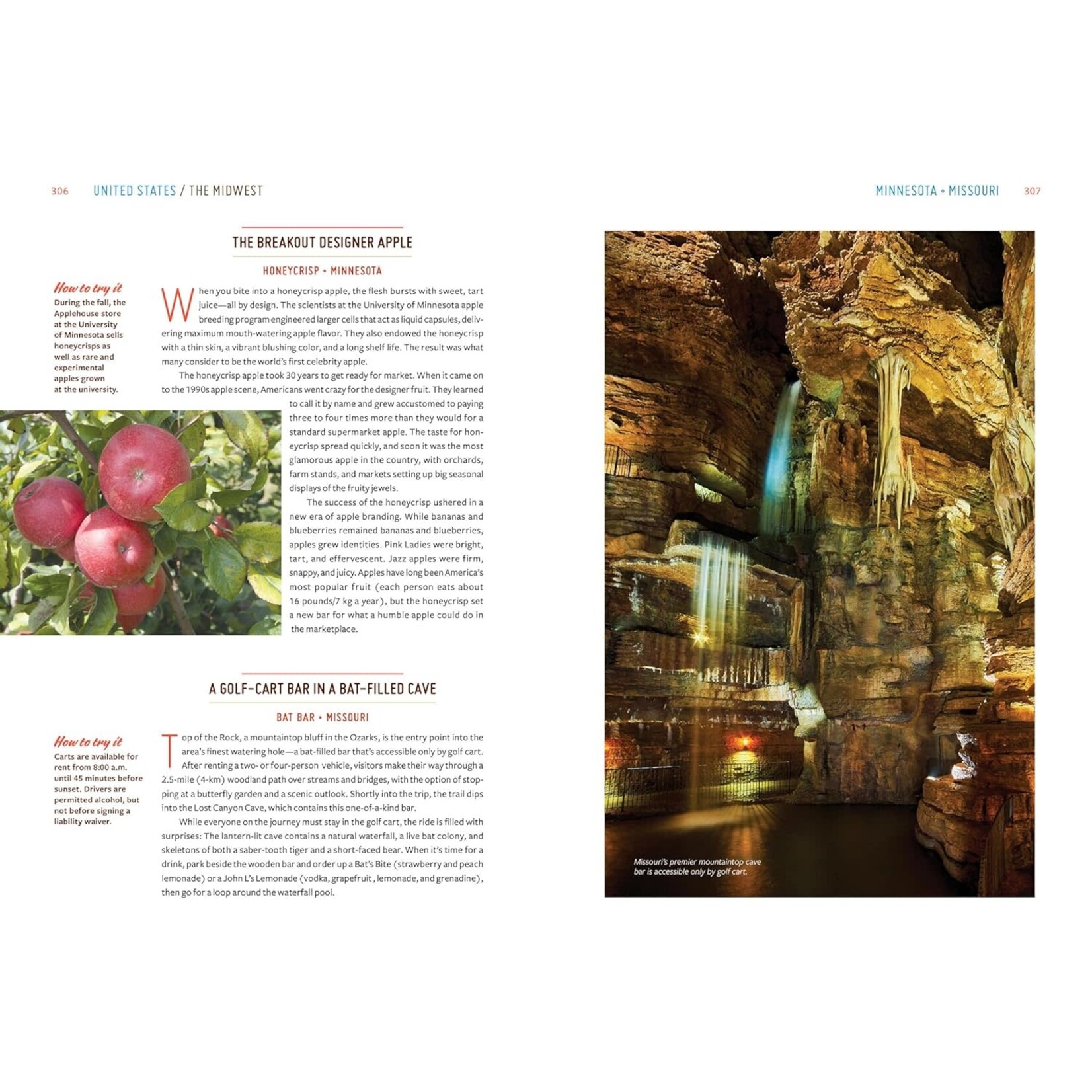 Gastro Obscura: A Food Adventurer's Guide