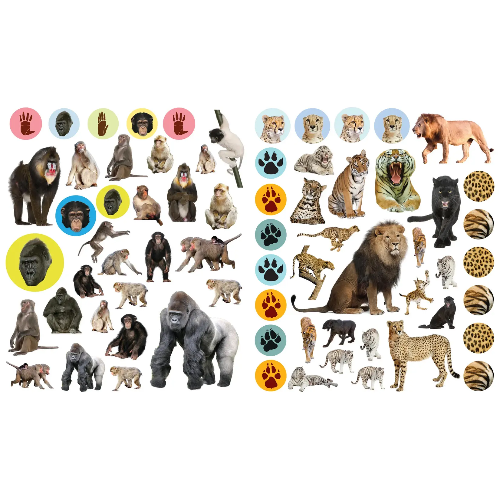 Eyelike Stickers: Wild Animals