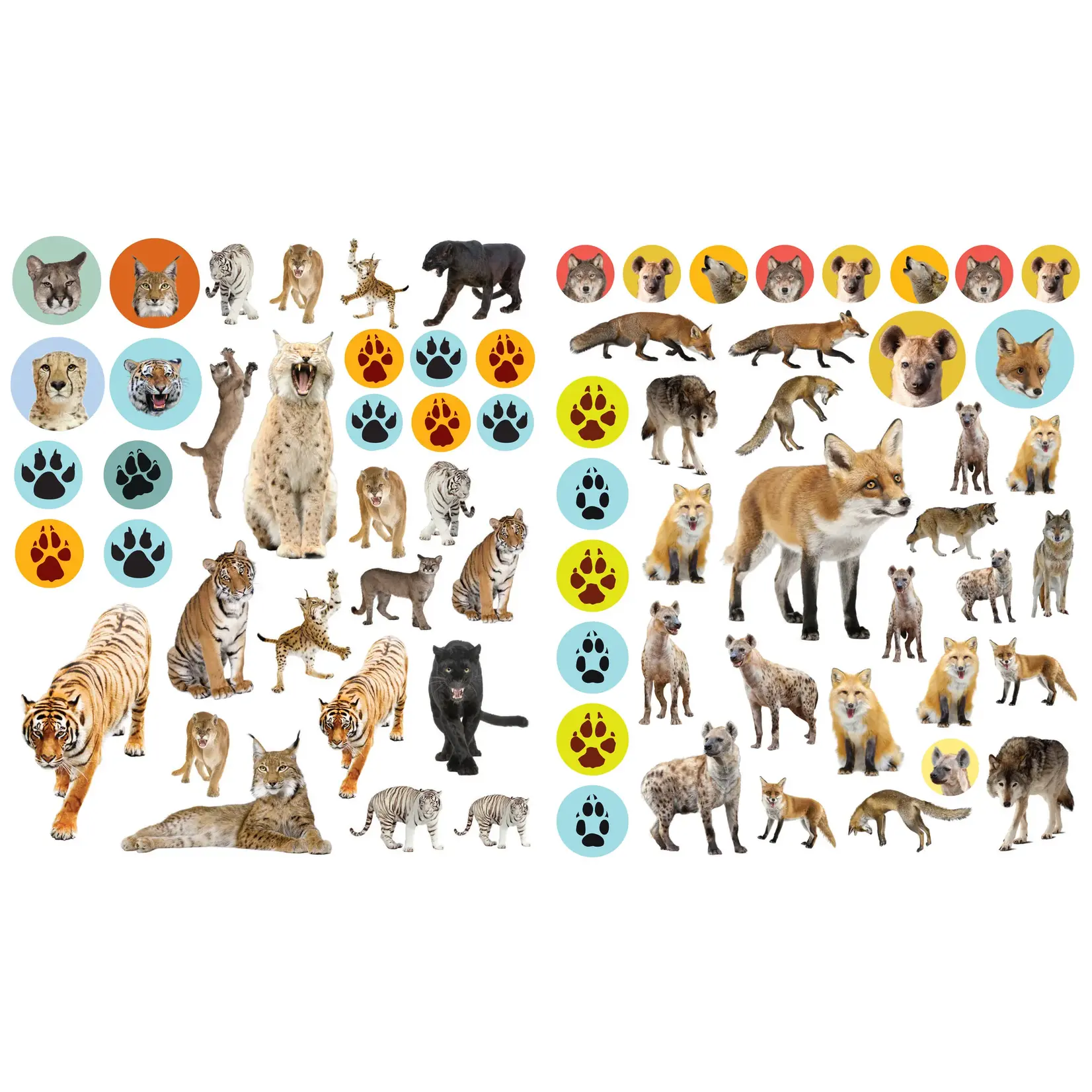 Eyelike Stickers: Wild Animals