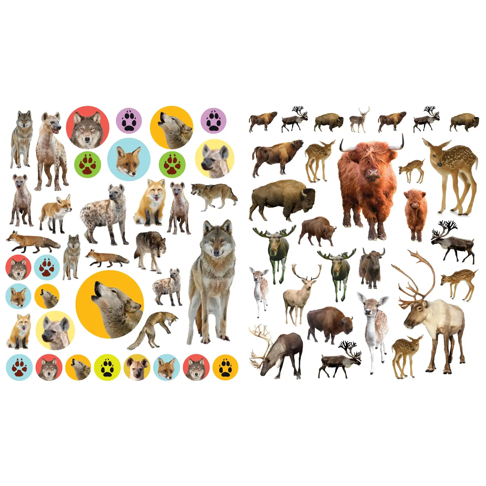 Eyelike Stickers: Wild Animals