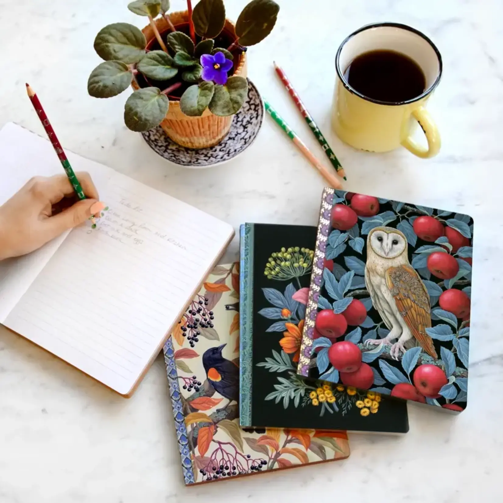 eeboo Barn Owl Journal