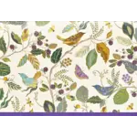 Peter Pauper Press Birds and Berries Note Cards