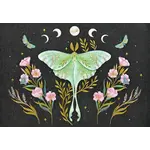 Peter Pauper Press Luna Moth Note Cards