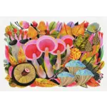 Peter Pauper Press Mushroom Medley Note Cards