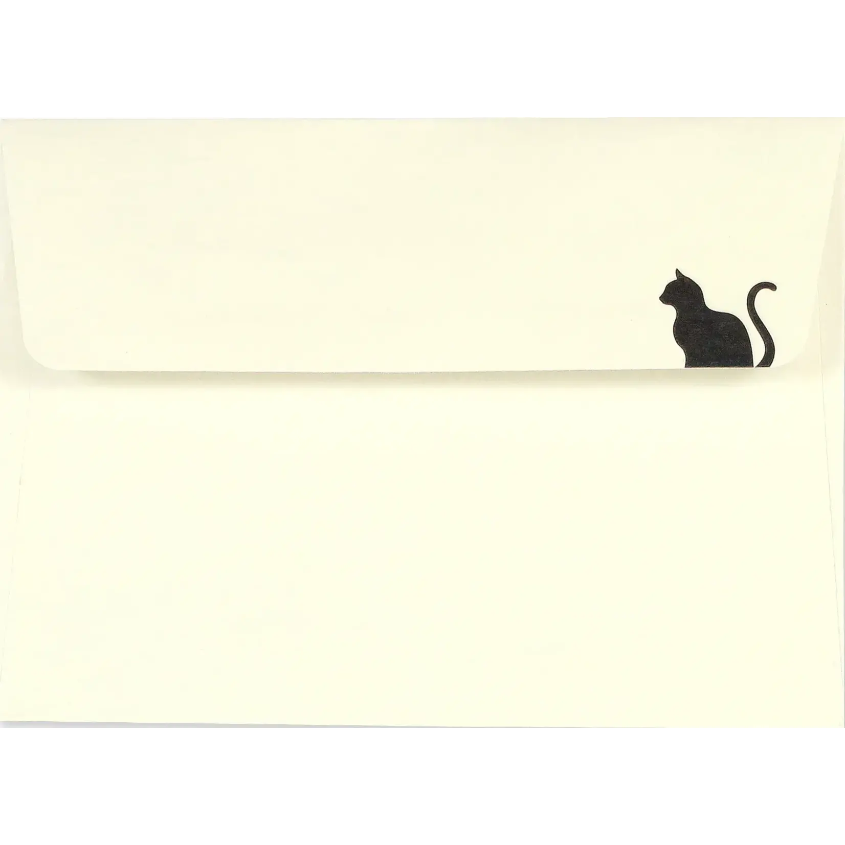 Peter Pauper Press Boxed Note Cards: Black Cat