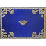 Peter Pauper Press Gilded Butterflies Note Cards